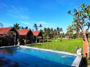 バニュウェダンにあるUmma Bali Menjangan Retreatのヴィラの前のスイミングプール