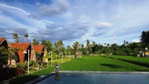 Umma Bali Menjangan Retreat外面的花园