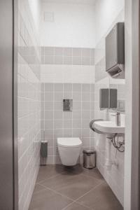 a bathroom with a toilet and a sink at Hostel Nr.2 in Rauna