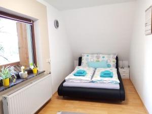 een kleine slaapkamer met een bed en een raam bij Ferienhaus Waldblick in Hohenberg an der Eger