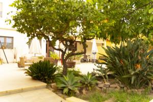 a patio with a tree and white umbrellas at Da Sarah in Muravera