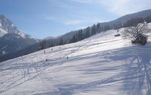 Apart Alpin v zimě