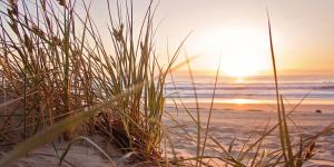 ダンプにあるOstseehotel Midgard im Damplandの夕日を眺めながらの浜辺の草