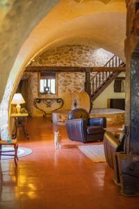 a dog standing in a living room with a couch at Le Vieux Moulin in Jouques