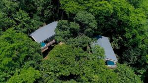 a house with a tree and trees at Isla Chiquita Glamping Hotel in Puntarenas