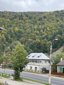 a building on the side of a road with a mountain at Vila Casa Ta in Sinaia