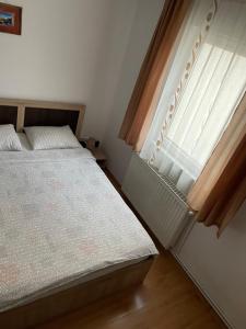 1 dormitorio con cama y ventana en Vila Casa Ta en Sinaia