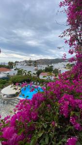 a group of purple flowers in front of a pool at Skala Hotel in Skala
