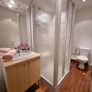 ein Badezimmer mit Dusche, Waschbecken und Toilette in der Unterkunft Gite Myrtille 2 à 6 personnes avec SPA et salle de jeux dans la Residence in Ventron + 9 Fotos