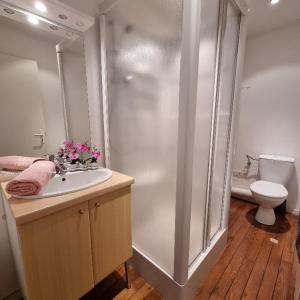 a bathroom with a shower and a sink and a toilet at Gite Myrtille 2 à 6 personnes dans Residence des Buis avec Spa in Ventron