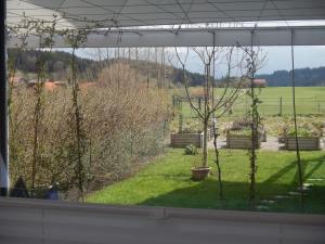 a view of a garden from a window at Retreat im Ostallgäu in Rettenbach am Auerberg