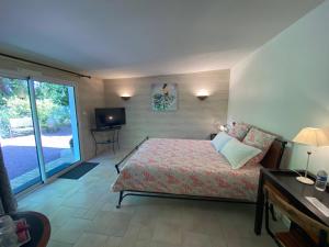 een slaapkamer met een bed en een televisie. bij Le Clos des Chênes in Challans