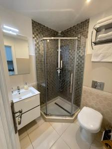 a bathroom with a shower and a toilet and a sink at 1501 Wergass 18 in Sibiu