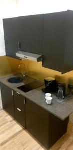 uma cozinha com um lavatório e uma bancada em Jadore Monic em Roma