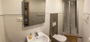 uma casa de banho com um lavatório, um WC e um espelho. em Ferienwohnung Haasen em Lauscha
