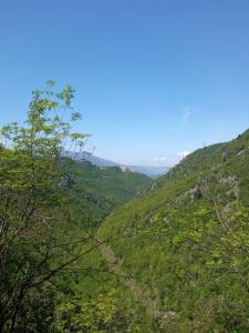 vistas a una ladera verde con árboles en Lo chalet Biancaneve, en Picinisco