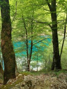 una pintura de un cuerpo de agua entre los árboles en Lo chalet Biancaneve, en Picinisco