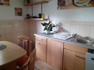 a kitchen with a sink and a vase of flowers on the counter at Haus Pusteblume in Zahren