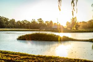 um lago com relva no meio de um campo em Winterton Country Lodge @ Rose Cottage em Winterton