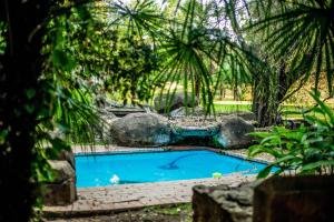 a swimming pool in a garden with rocks and trees at Winterton Country Lodge @ Rose Cottage in Winterton