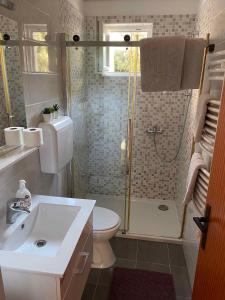 a bathroom with a shower and a toilet and a sink at Apartment Kampor 2 in Kampor