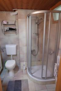 ein Bad mit einer Dusche und einem WC in der Unterkunft Frühstückspension Mayer-Schiller in Bernried