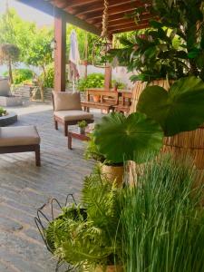 een patio met een bos planten en banken bij Casa Relogio de Sol in Lamego