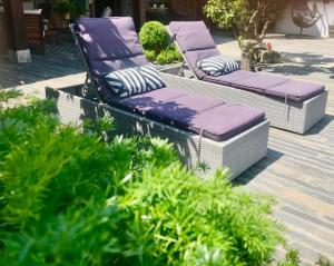 dos sillas de mimbre sentadas en un patio con plantas en Casa Relogio de Sol, en Lamego