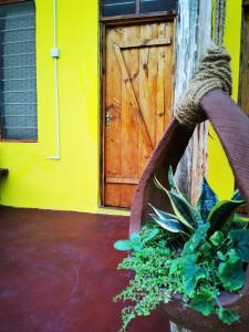 uma planta num cesto à frente de uma porta em Shanka Lodge Zanzibar em Kizimkazi