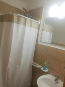 ein Bad mit einem Duschvorhang und einem Waschbecken in der Unterkunft Villa la Angostura in Villa La Angostura