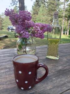 Foto dalla galleria di Rustic Home Tara a Kaludjerske Bare