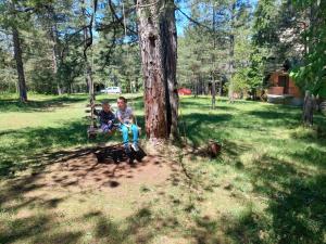 Giardino di Rustic Home Tara