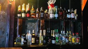 a bar filled with lots of bottles of alcohol at Just Pension & Bar in Gadebusch