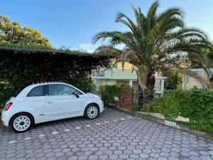 Galeriebild der Unterkunft Apartman Hola in Novigrad Istria