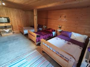 a room with two beds and a television in a cabin at Fontana erdélyi vendégház in Odorheiu Secuiesc