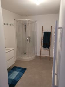 een badkamer met een douche en een blauw tapijt bij Les Hortensias in Lassay