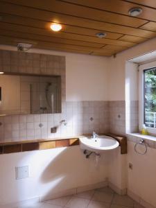 ein Badezimmer mit Waschbecken und Dusche in der Unterkunft Luftkurort, Perle des Neckartals in Hirschhorn