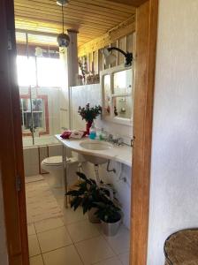 uma casa de banho com um lavatório, um WC e um espelho. em Fazenda Rodeio Bonito em Lages