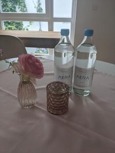 Gallery image of Ferien am Wasser in Wiesbaden