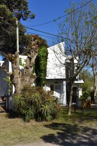 une maison blanche avec des arbres et des plantes dans une cour dans l'établissement dolce casa, à San Clemente del Tuyú