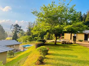 a garden with a tree and a swimming pool at Langalanga on the mountain bend in Tzaneen