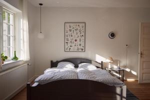 a bedroom with a bed in a room with a window at Enkesædet Bollegård in Ørsted