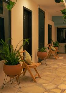 a group of chairs and plants in a courtyard at VO´E in San Cristóbal de Las Casas