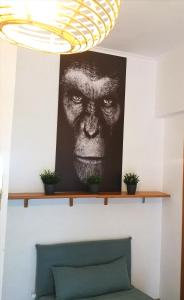 a picture of a man on a wall with plants on a shelf at Appartamento Jungle Beach in Lido di Ostia