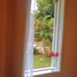 Um jardim em Pousada Casa Azul