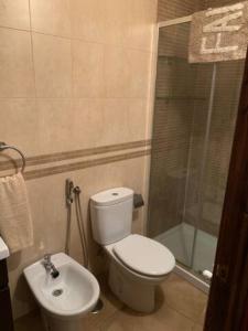 een badkamer met een toilet, een douche en een wastafel bij La Casa Verde en Sanabria de 4 habitaciones y 2 baños in Cerdillo