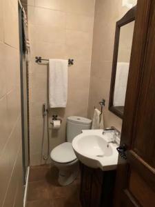 een badkamer met een toilet, een wastafel en een spiegel bij La Casa Verde en Sanabria de 4 habitaciones y 2 baños in Cerdillo
