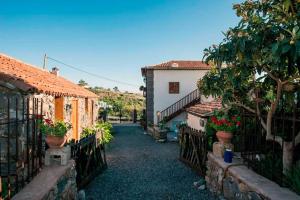 Casa Leandra con jacuzzi في أديخي: ساحة منزل بها نباتات الفخار
