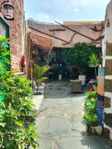 une cour avec des plantes en pot et un bâtiment en briques dans l'établissement La Piedra Viva Agüimes , Siete hermanos, à Agüimes