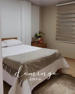 モンポスにあるHotel Filigrana Mompoxのベッドルーム(ベッド1台、窓付)